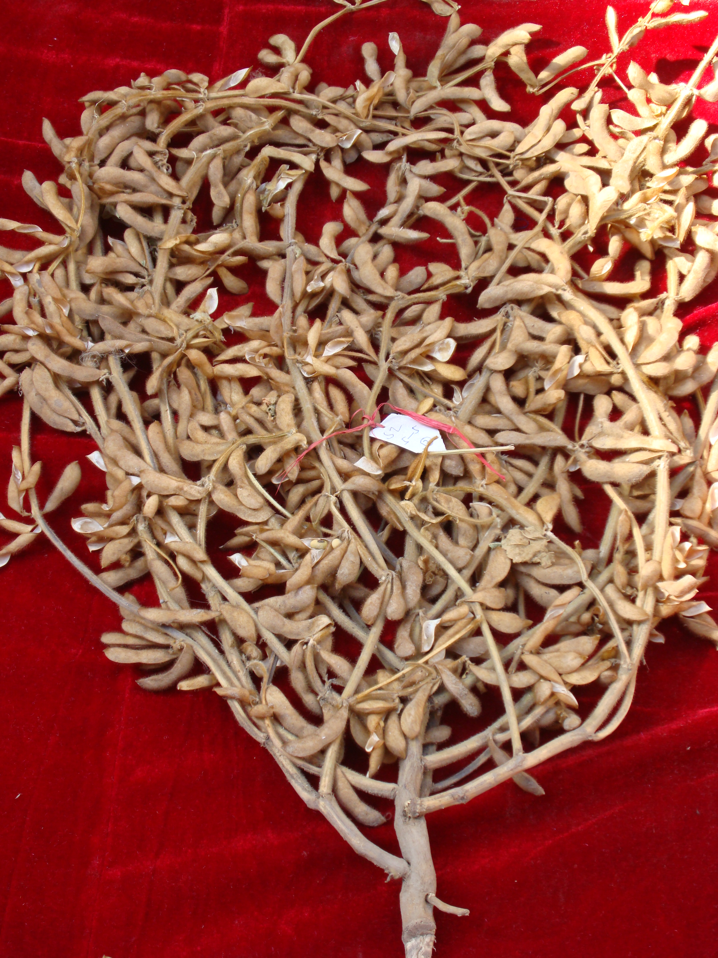 点击在新窗口中打开