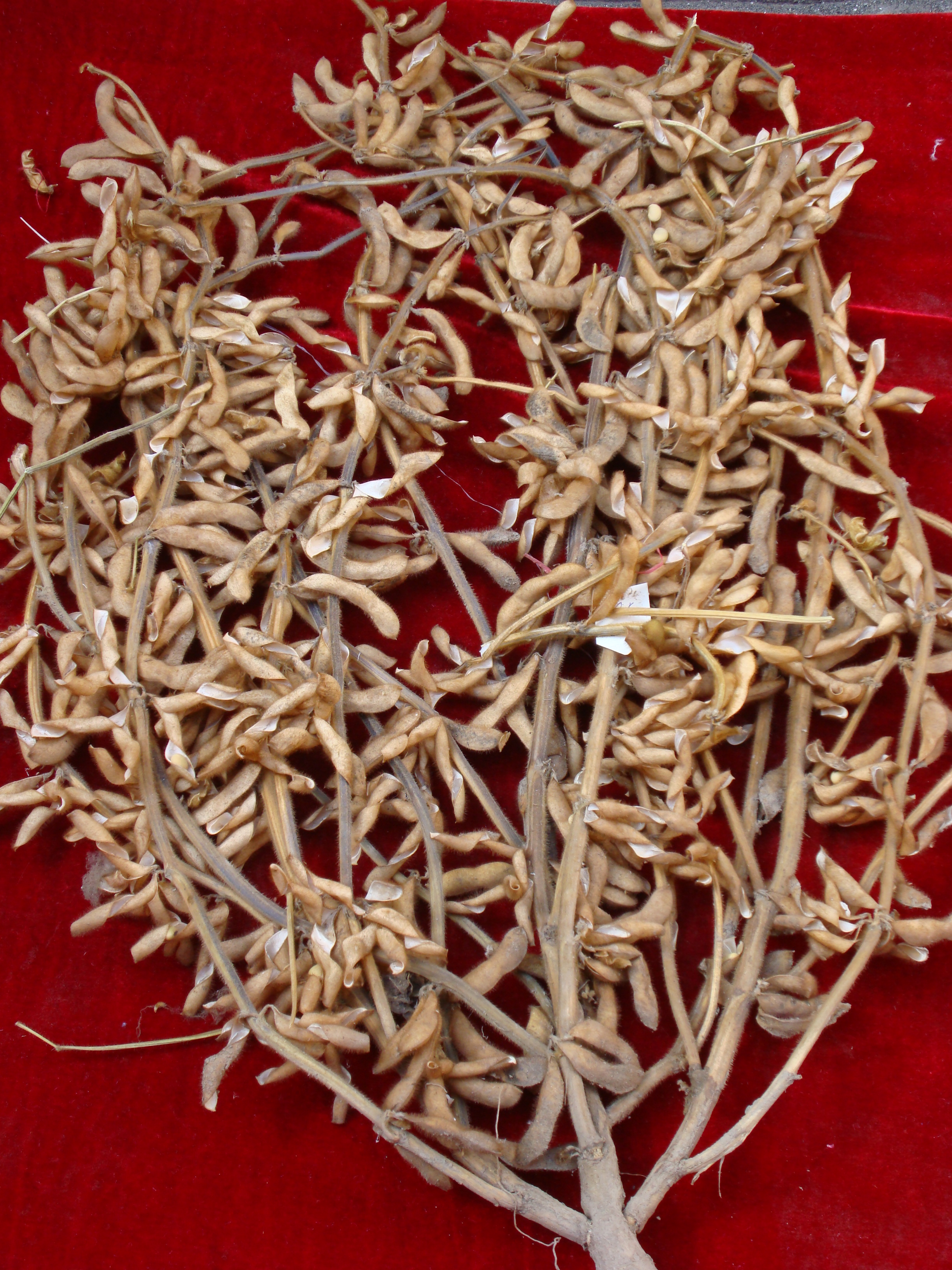 点击在新窗口中打开