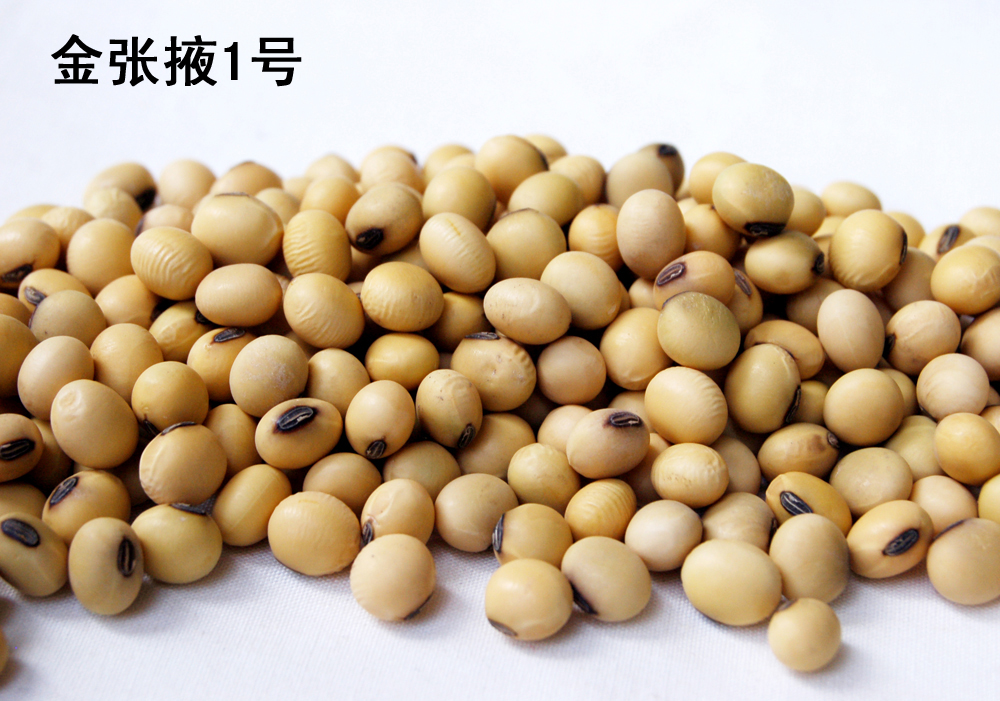 点击在新窗口中打开