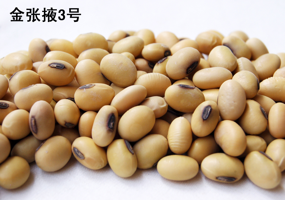 点击在新窗口中打开