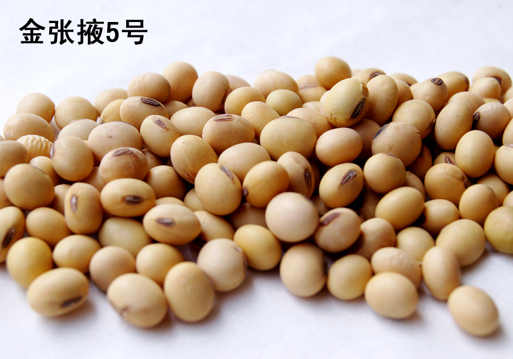 点击在新窗口中打开