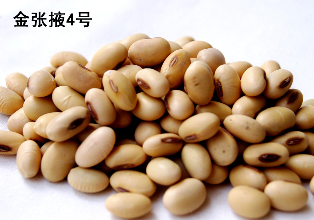 点击在新窗口中打开