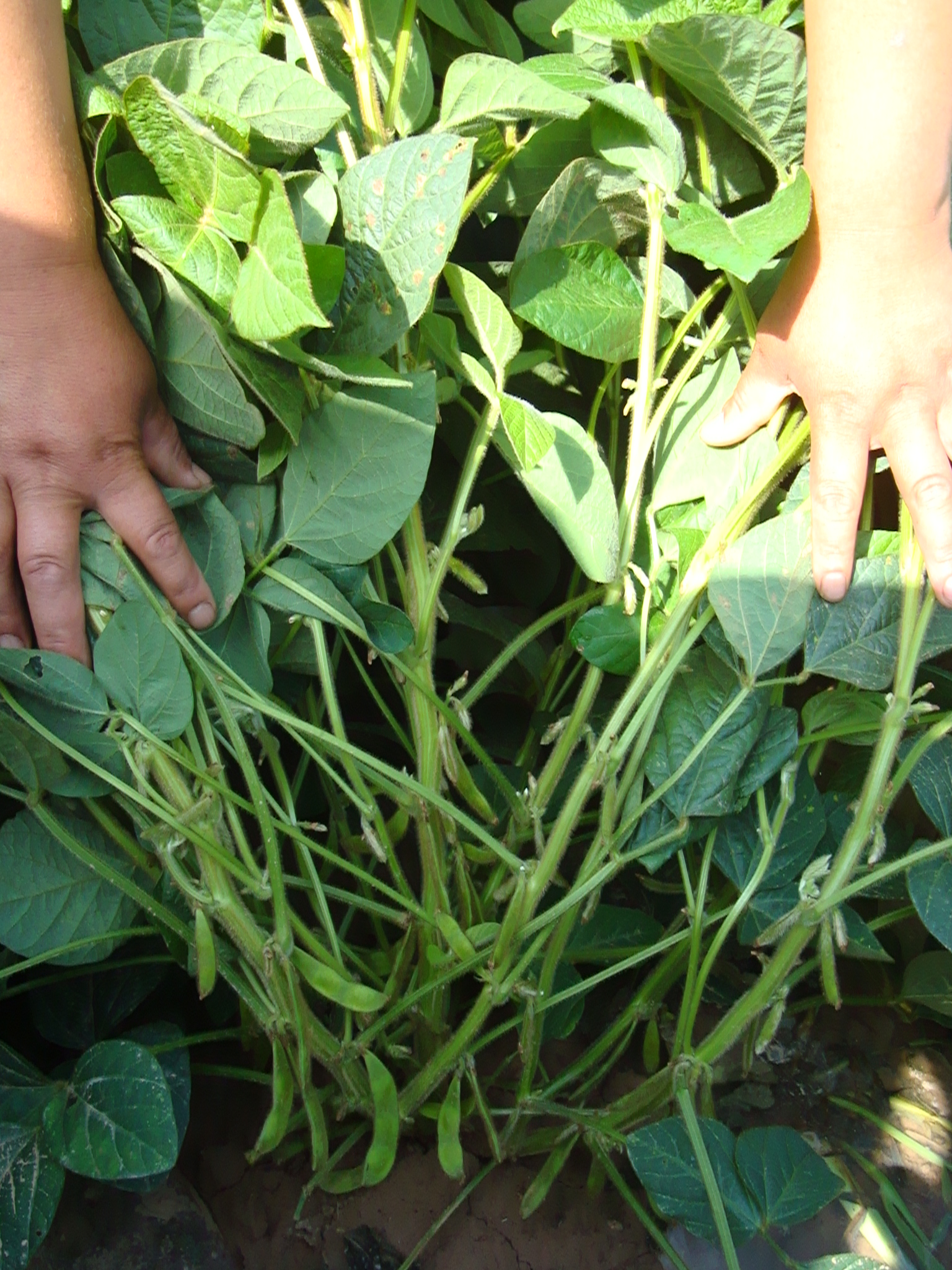 点击在新窗口中打开