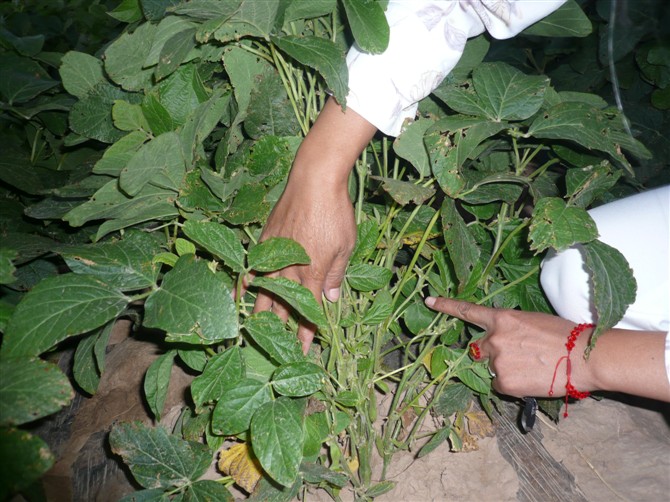 点击在新窗口中打开