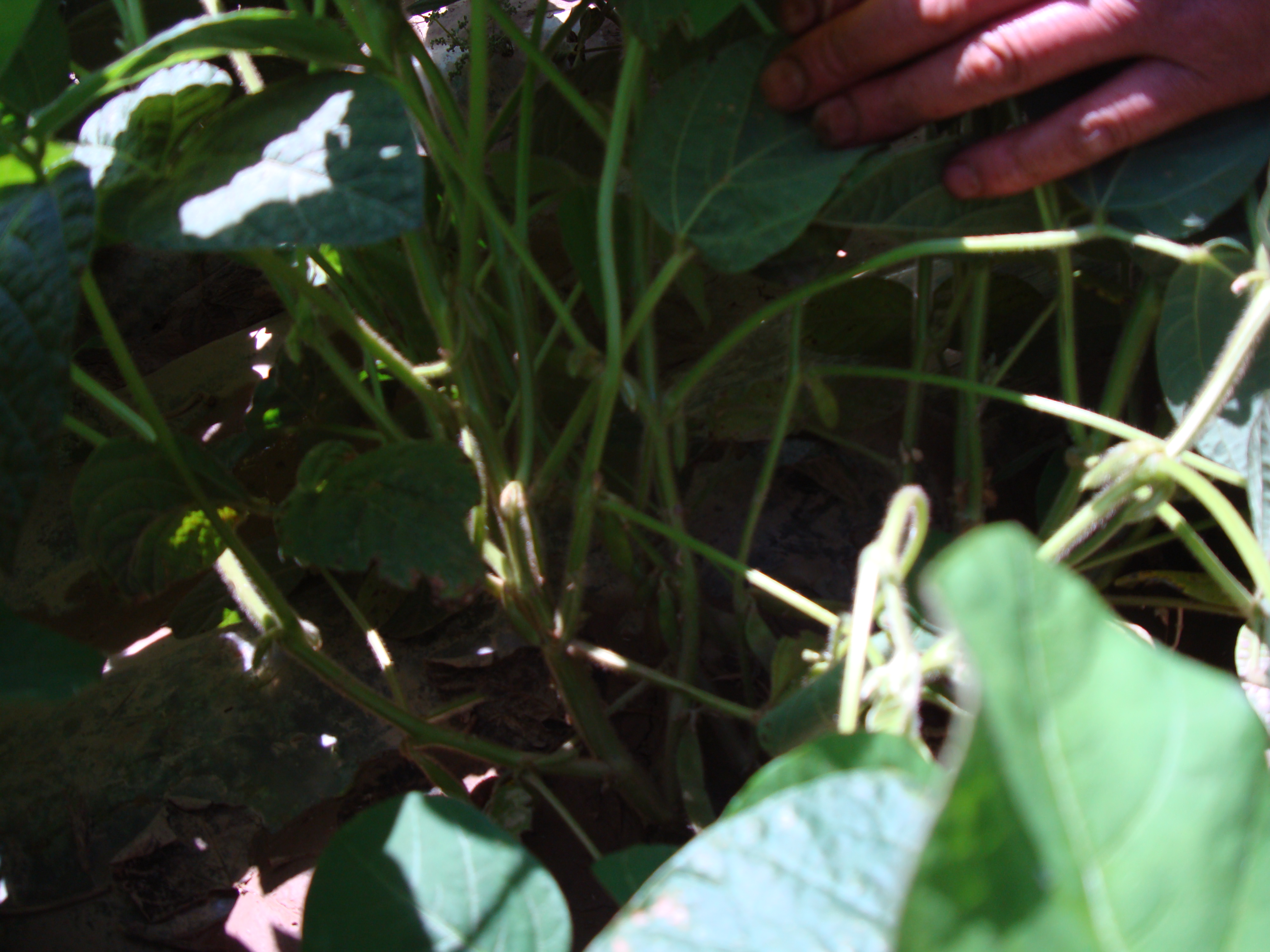 点击在新窗口中打开