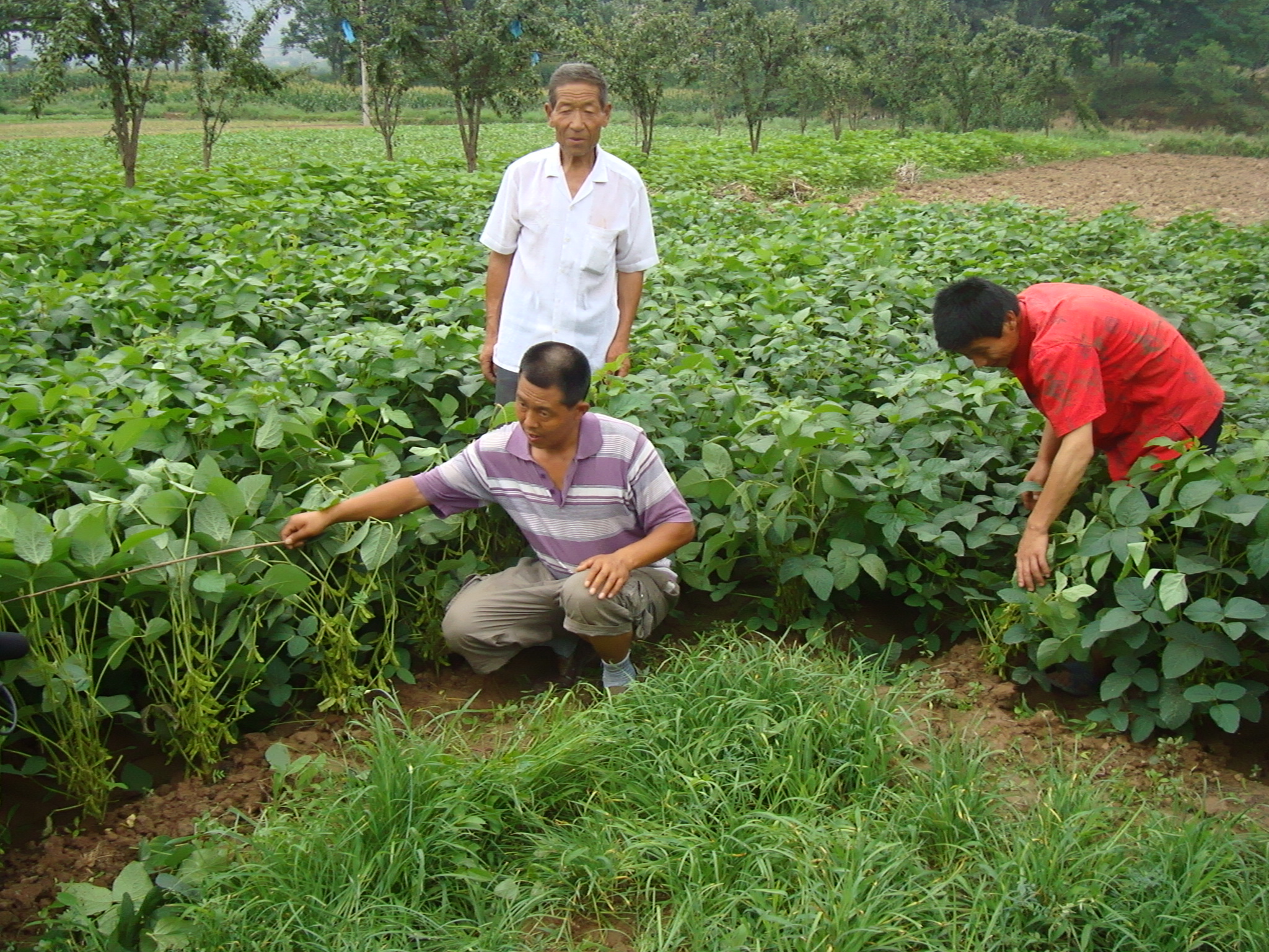 点击在新窗口中打开
