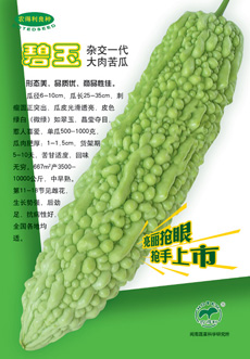 点击在新窗口中打开