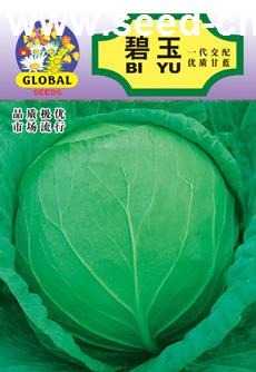 点击在新窗口中打开