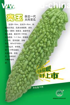 点击在新窗口中打开