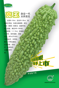 点击在新窗口中打开