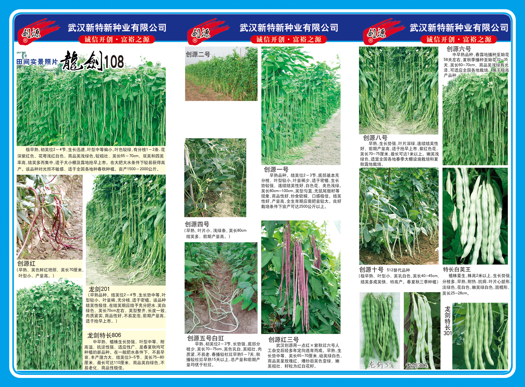 点击在新窗口中打开