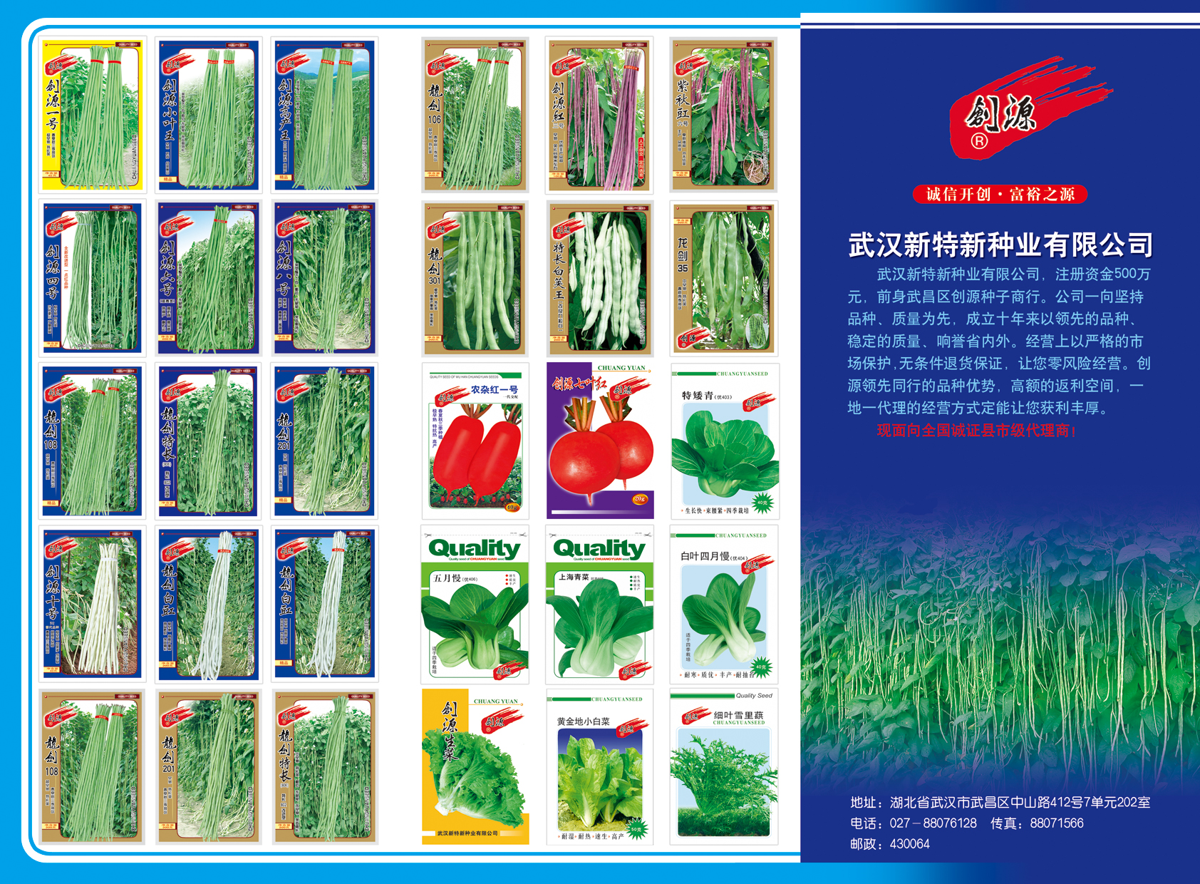 点击在新窗口中打开