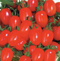 点击在新窗口中打开