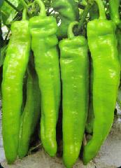 点击在新窗口中打开