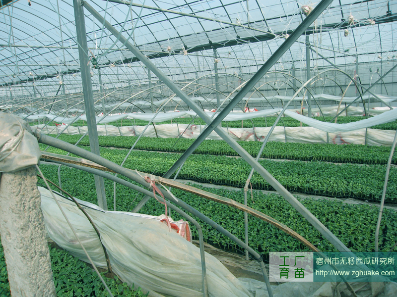 点击在新窗口中打开