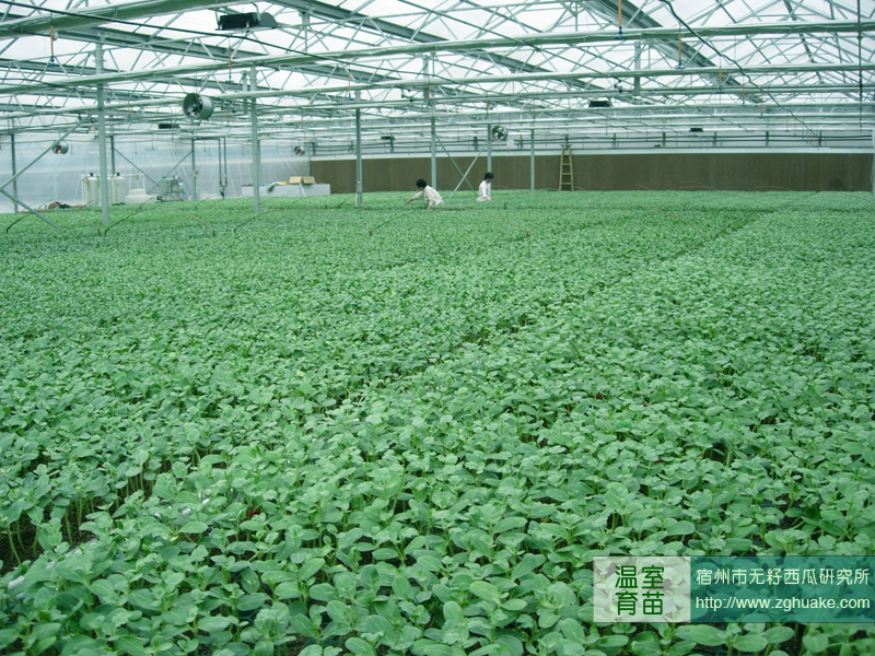 点击在新窗口中打开