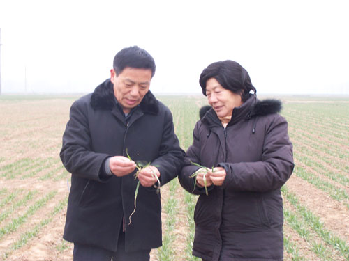 点击在新窗口中打开