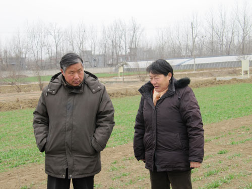 点击在新窗口中打开