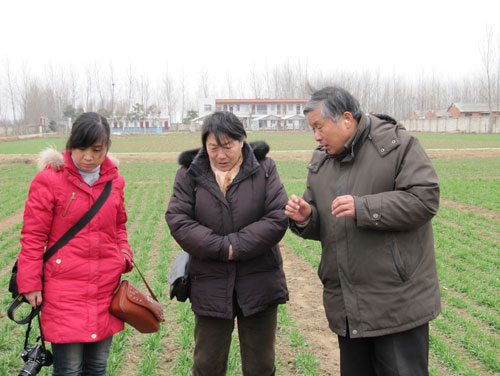 点击在新窗口中打开