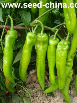 点击在新窗口中打开