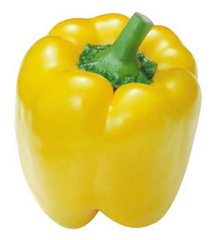 点击在新窗口中打开