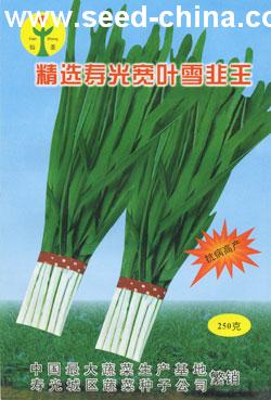 点击在新窗口中打开