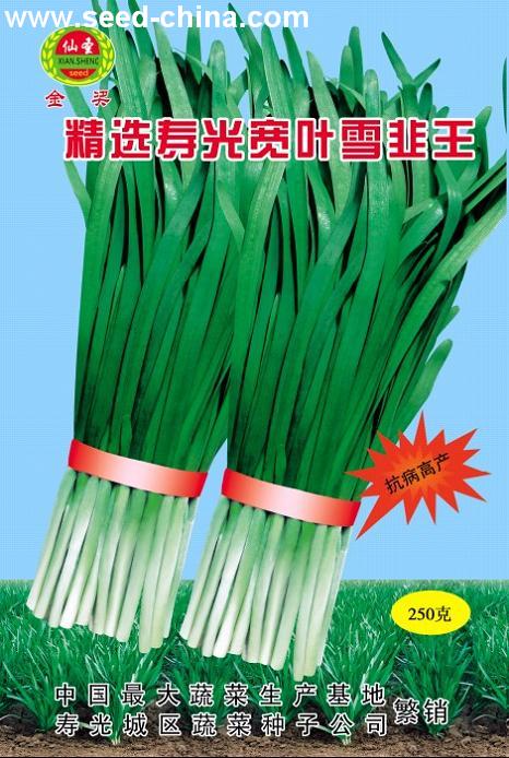 点击在新窗口中打开