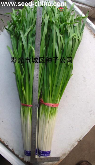 点击在新窗口中打开