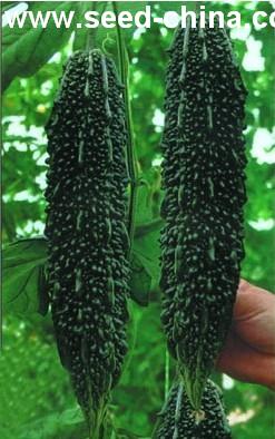 点击在新窗口中打开