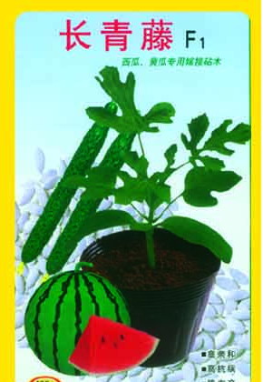 点击在新窗口中打开