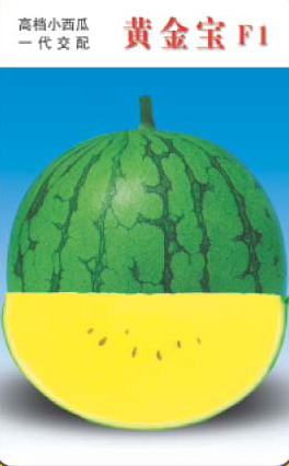 点击在新窗口中打开