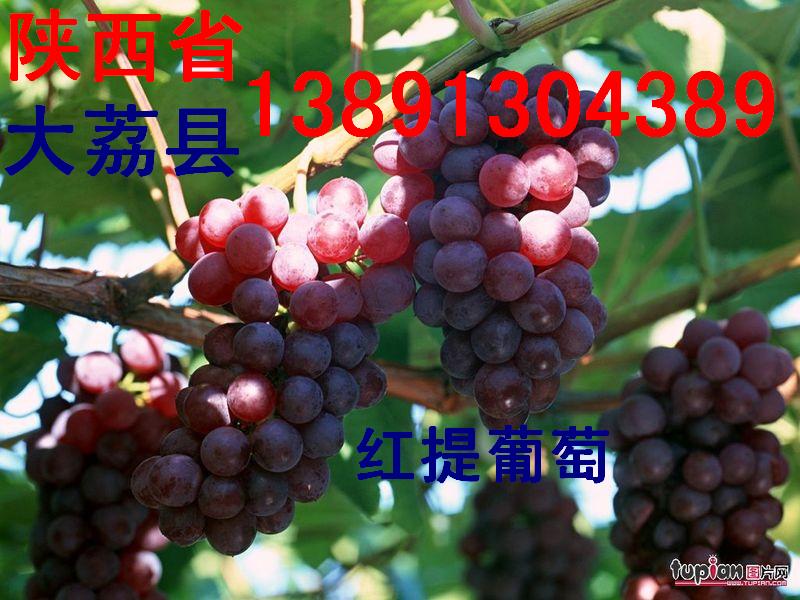 点击在新窗口中打开