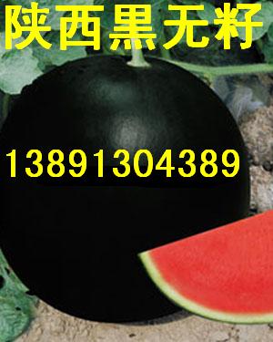 点击在新窗口中打开