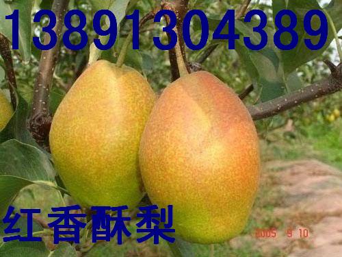 点击在新窗口中打开