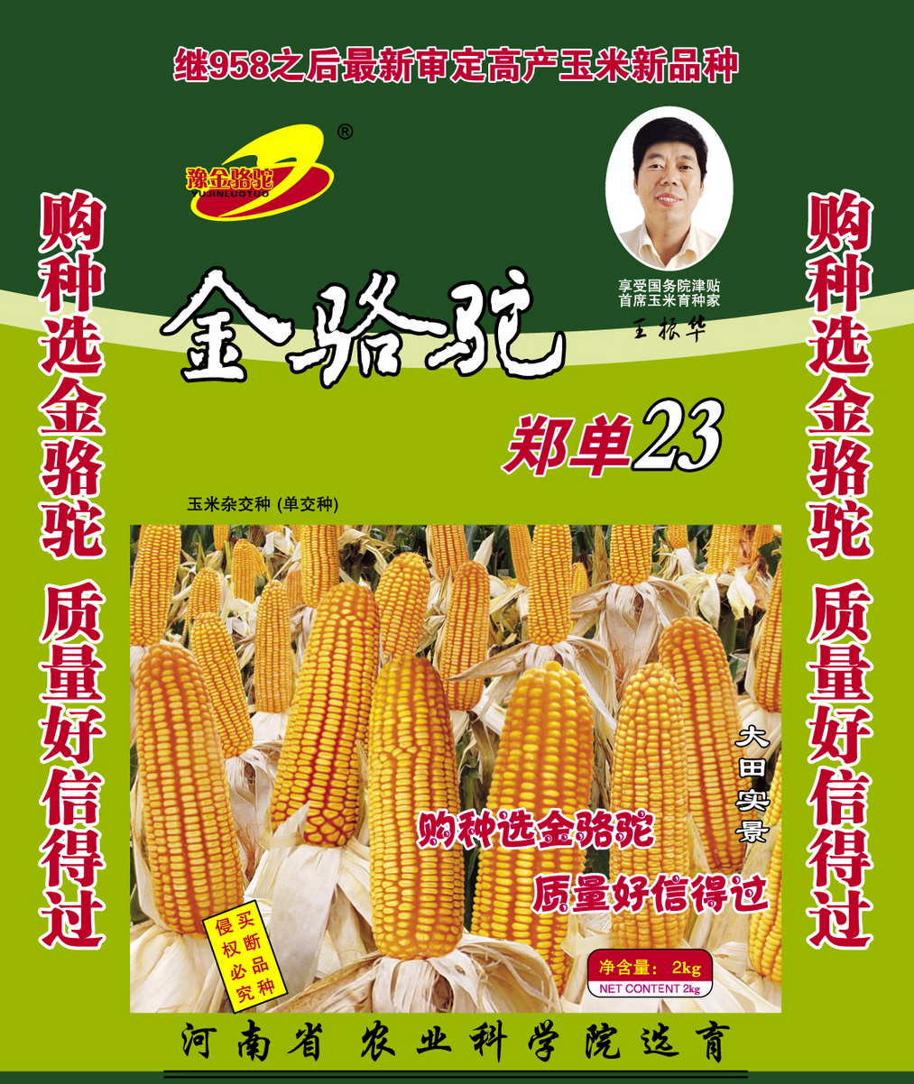 点击在新窗口中打开