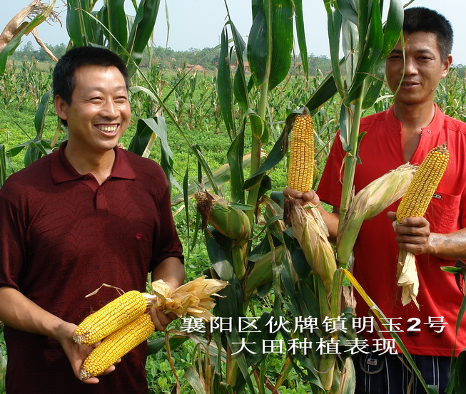 点击在新窗口中打开