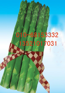 点击在新窗口中打开