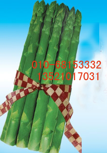 点击在新窗口中打开