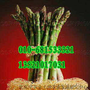 点击在新窗口中打开