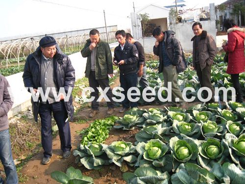 点击在新窗口中打开