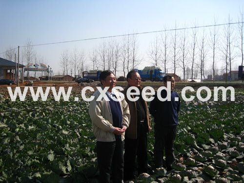 点击在新窗口中打开