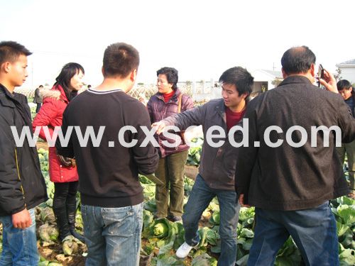 点击在新窗口中打开