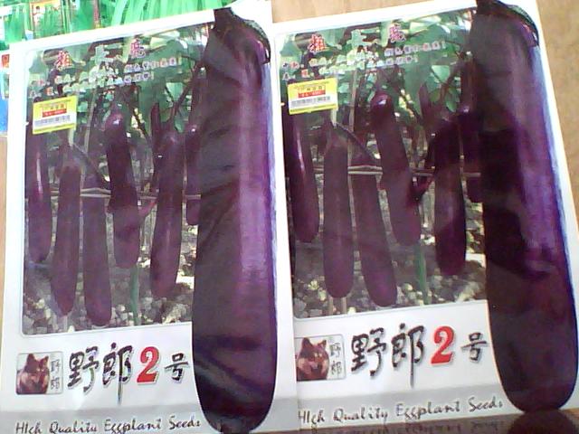 点击在新窗口中打开