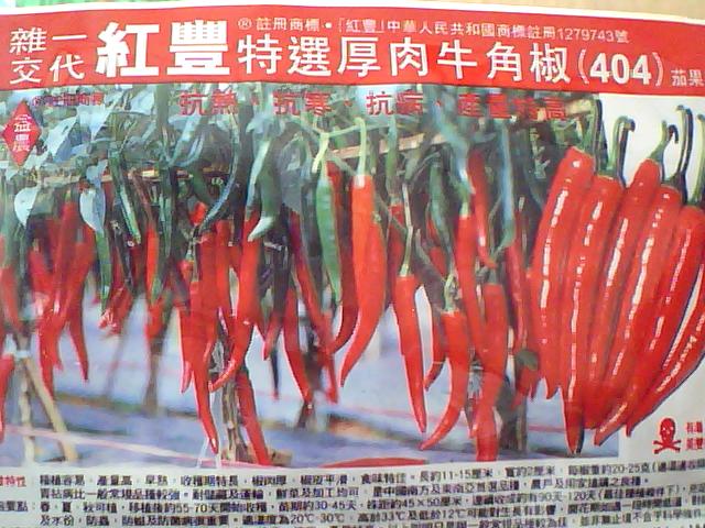 点击在新窗口中打开