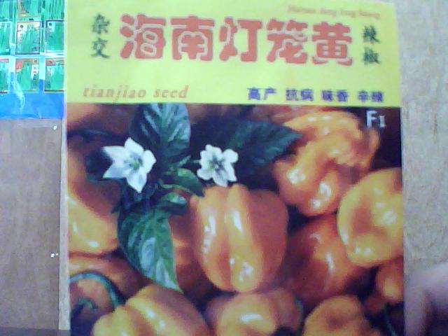 点击在新窗口中打开