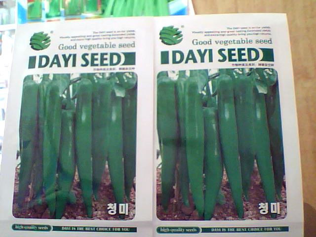 点击在新窗口中打开