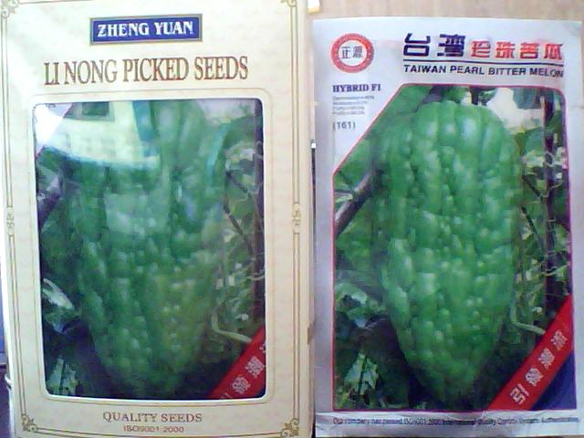 点击在新窗口中打开