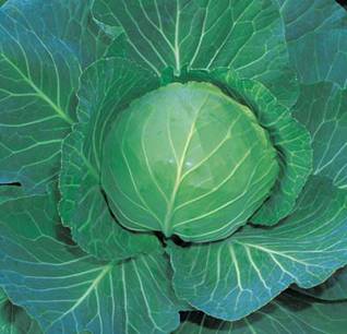 点击在新窗口中打开