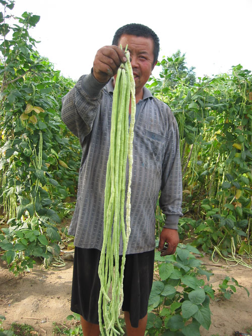 点击在新窗口中打开