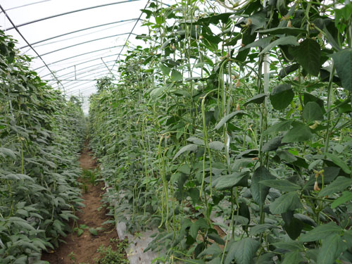 点击在新窗口中打开